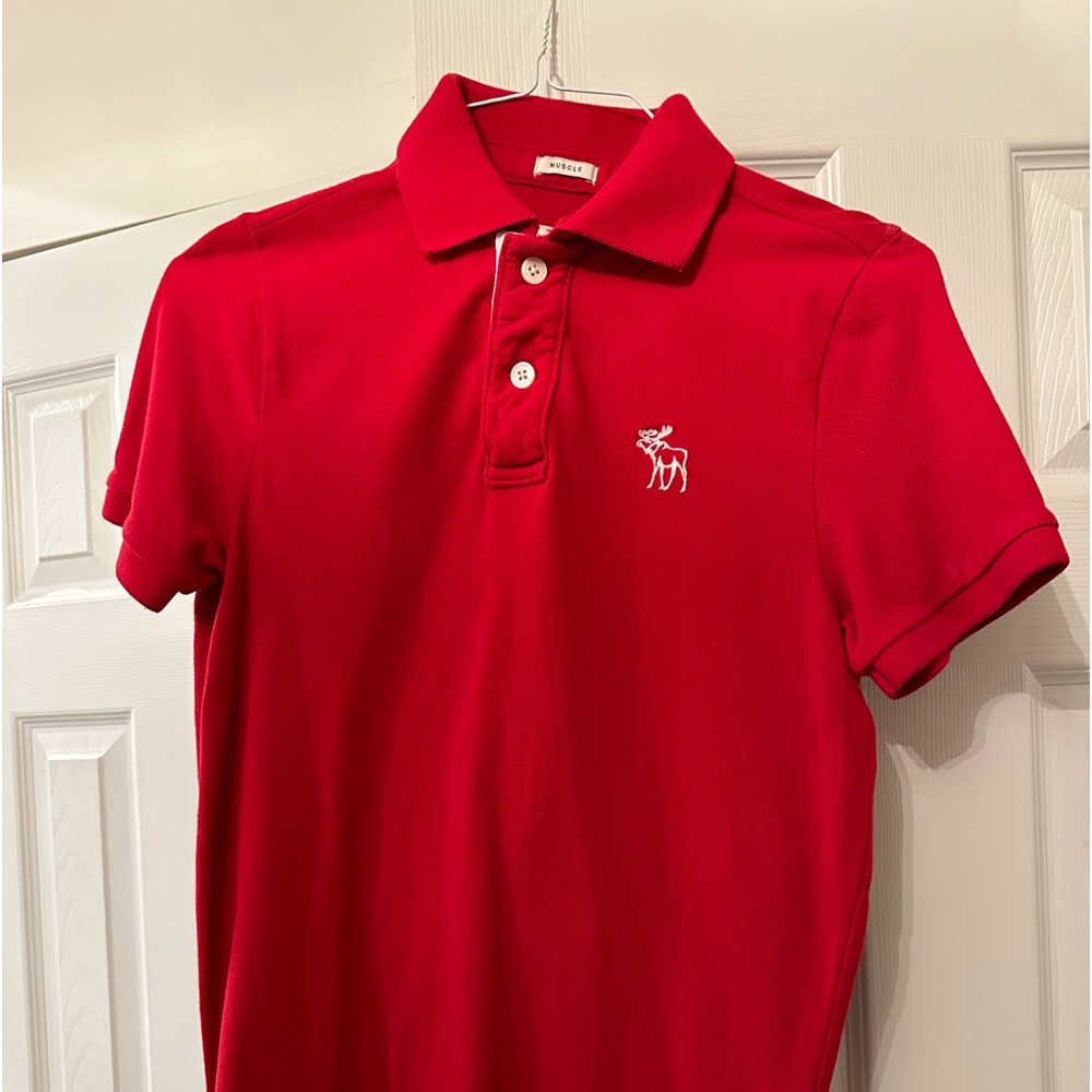 Abercrombie and Fitch Muscle Polo